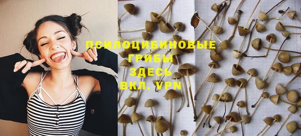 мяу мяу мука Протвино