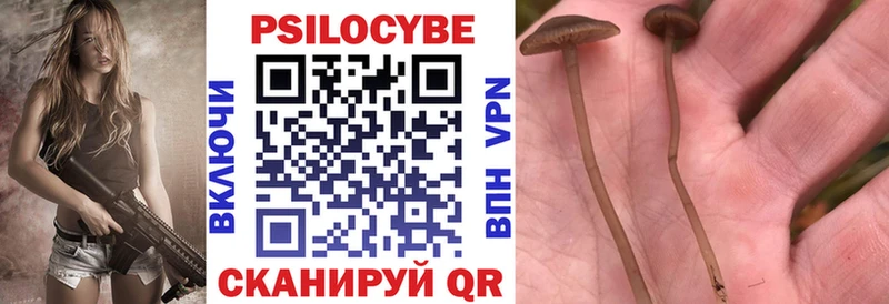 Псилоцибиновые грибы ЛСД  Байкальск 
